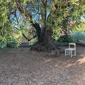 https://casa-olea.in-sardinia.net